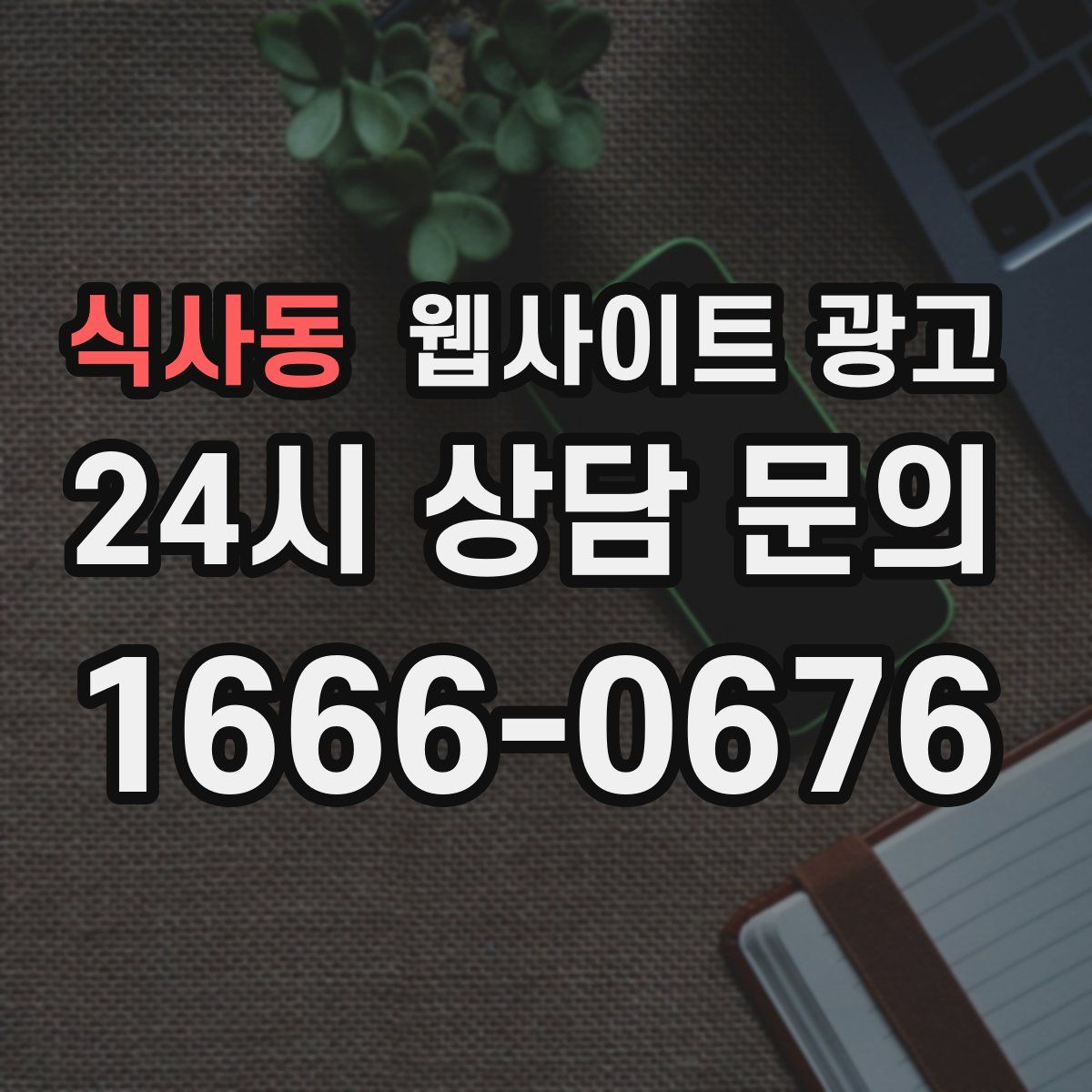 식사동 웹사이트 광고