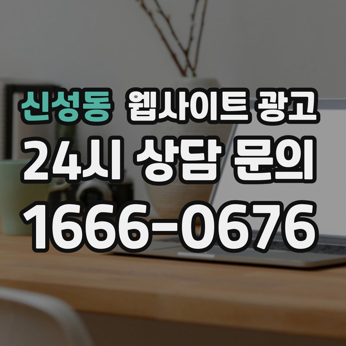 신성동 웹사이트 광고