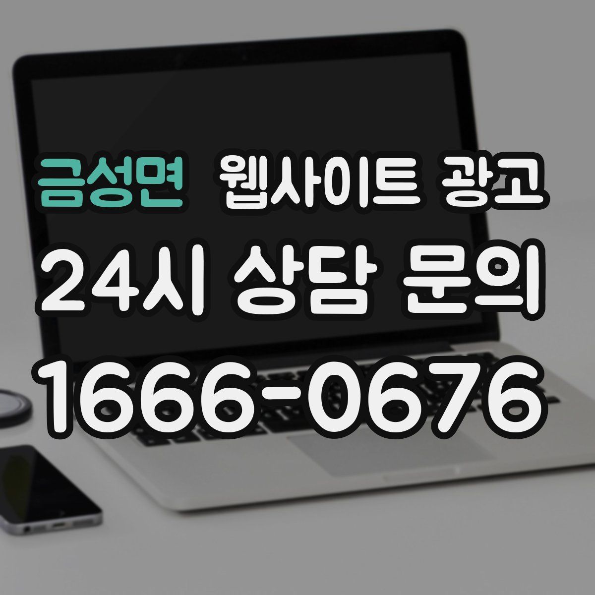 금성면 웹사이트 광고