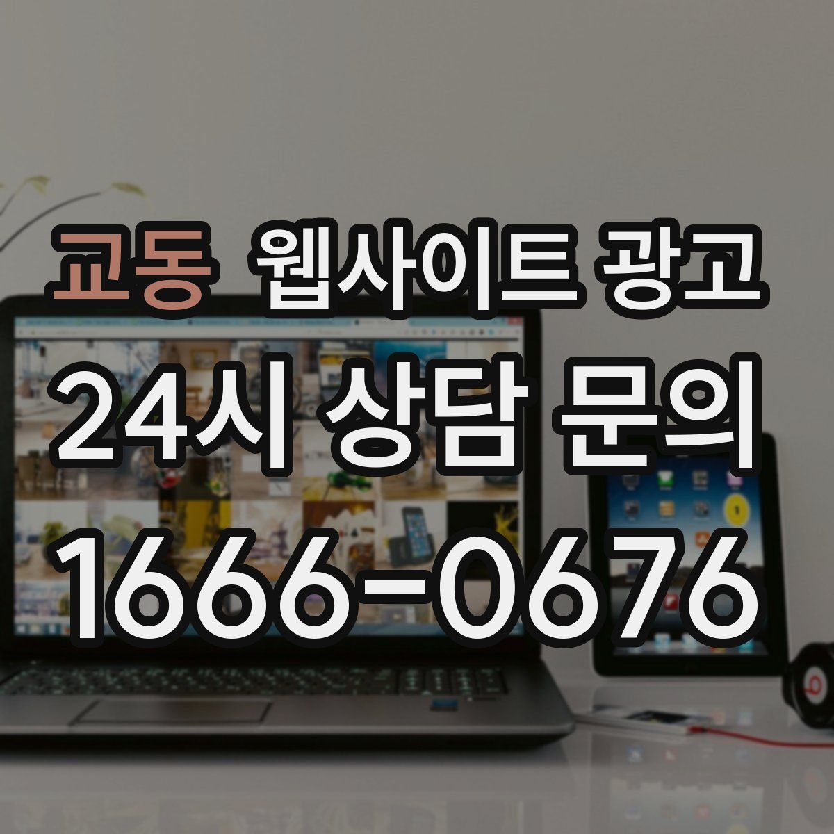 교동 웹사이트 광고