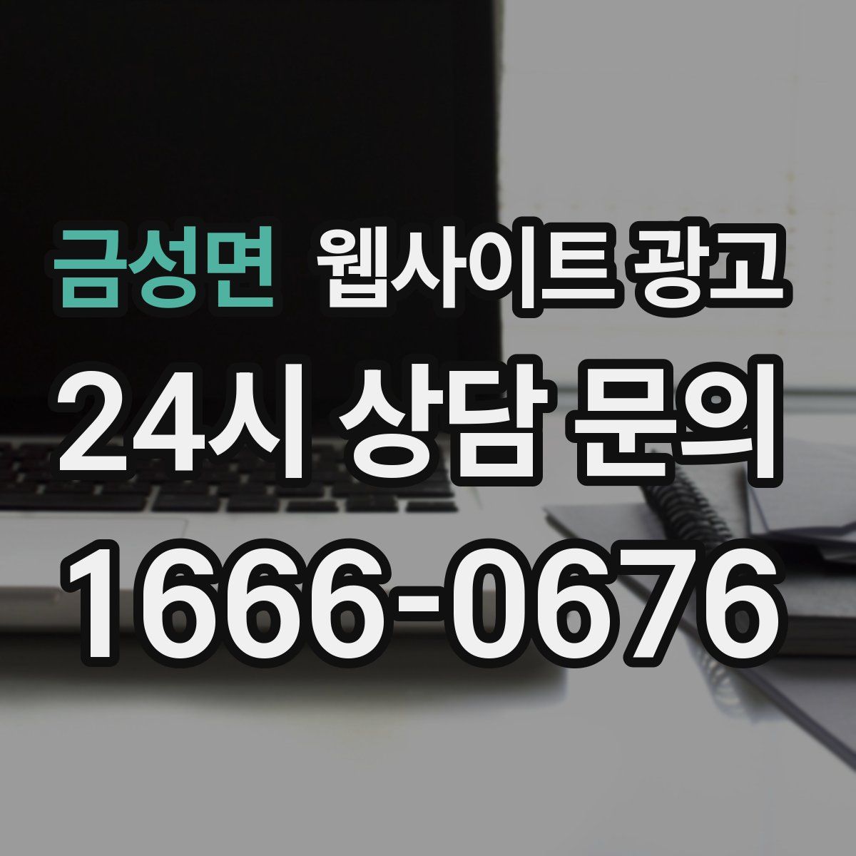 금성면 웹사이트 광고