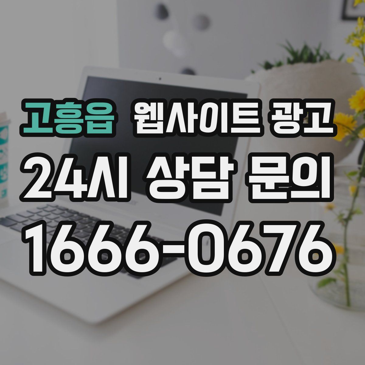 고흥읍 웹사이트 광고