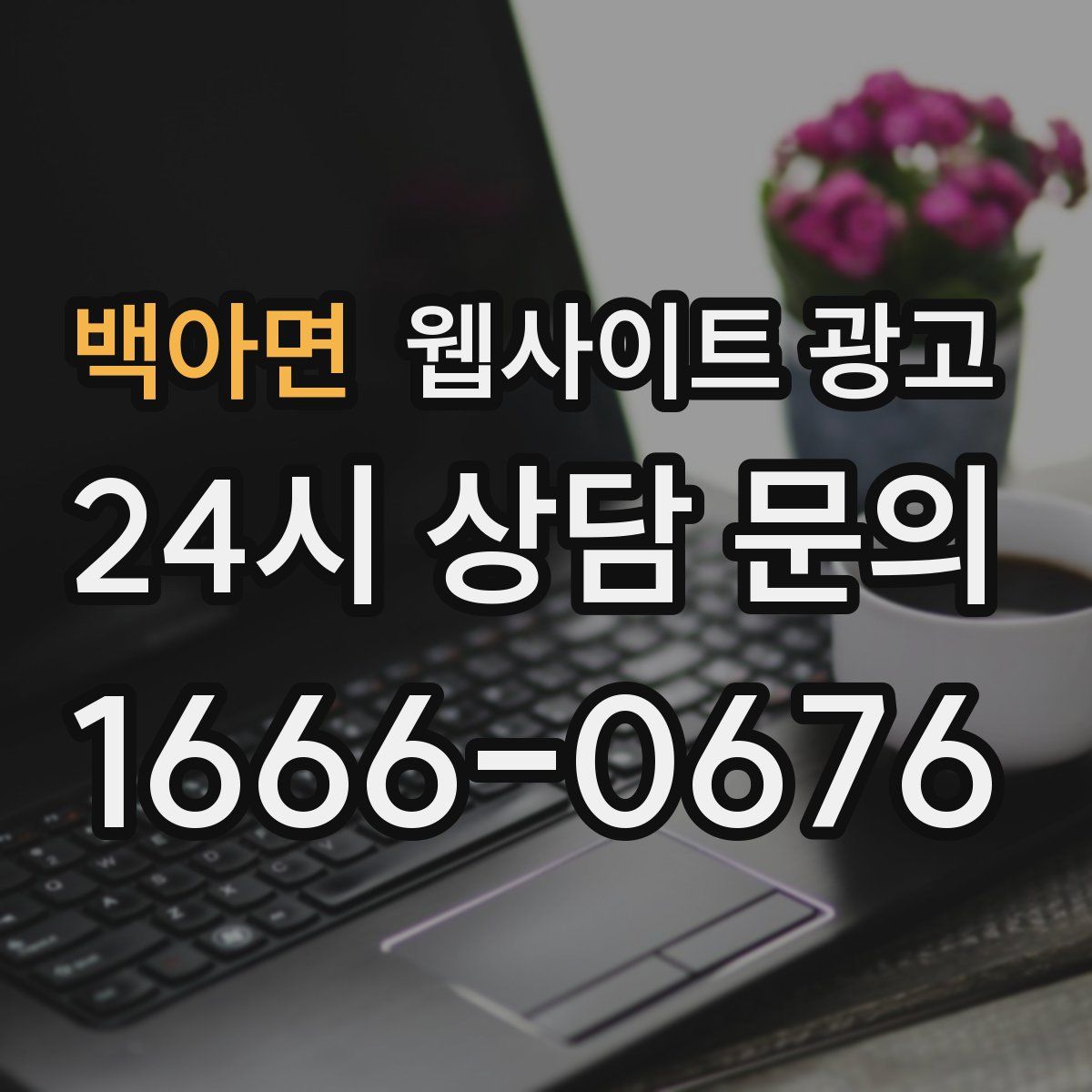 백아면 웹사이트 광고