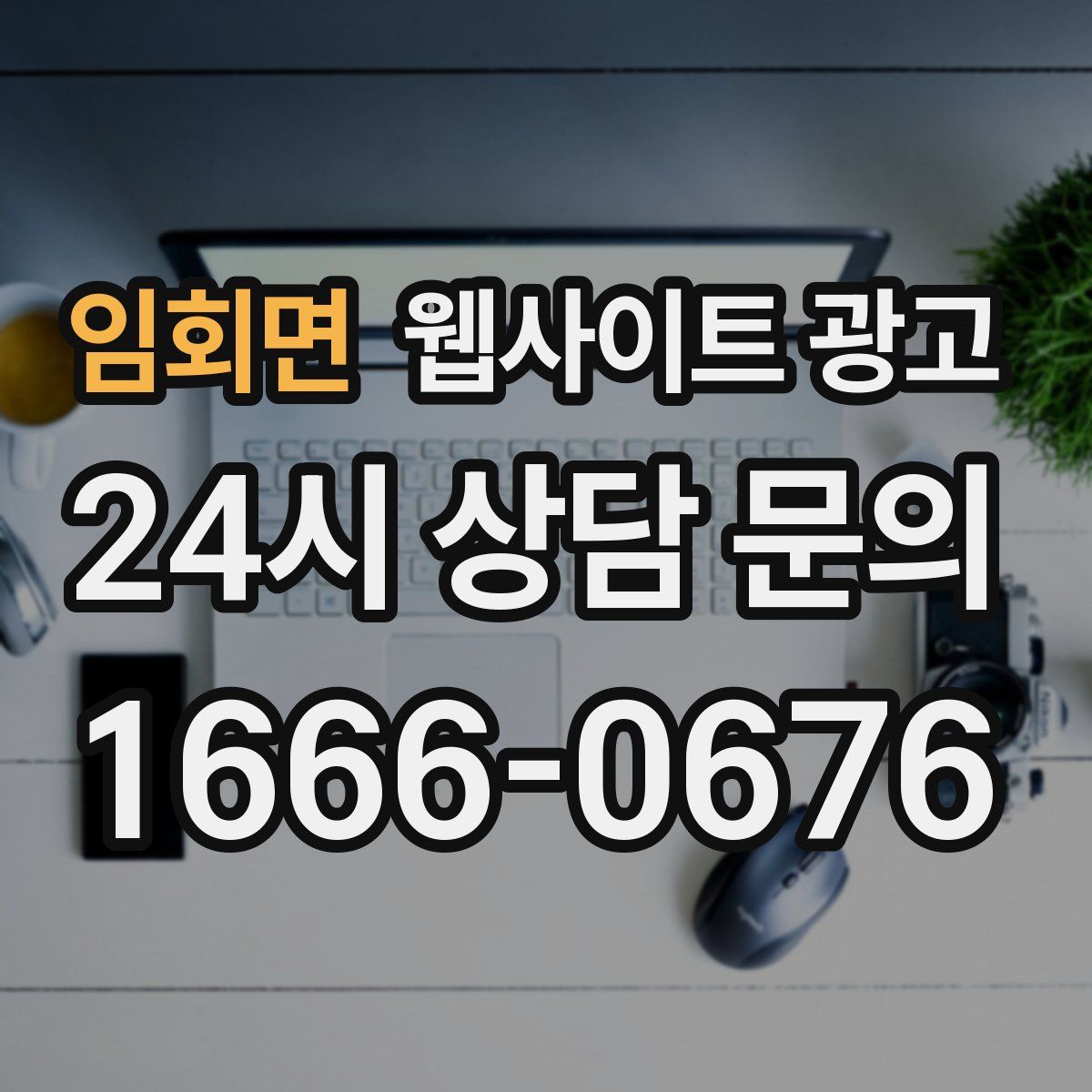 임회면 웹사이트 광고