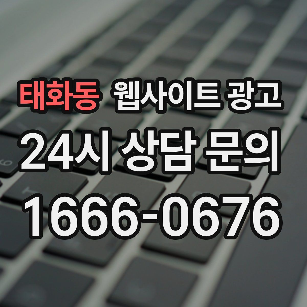 태화동 웹사이트 광고