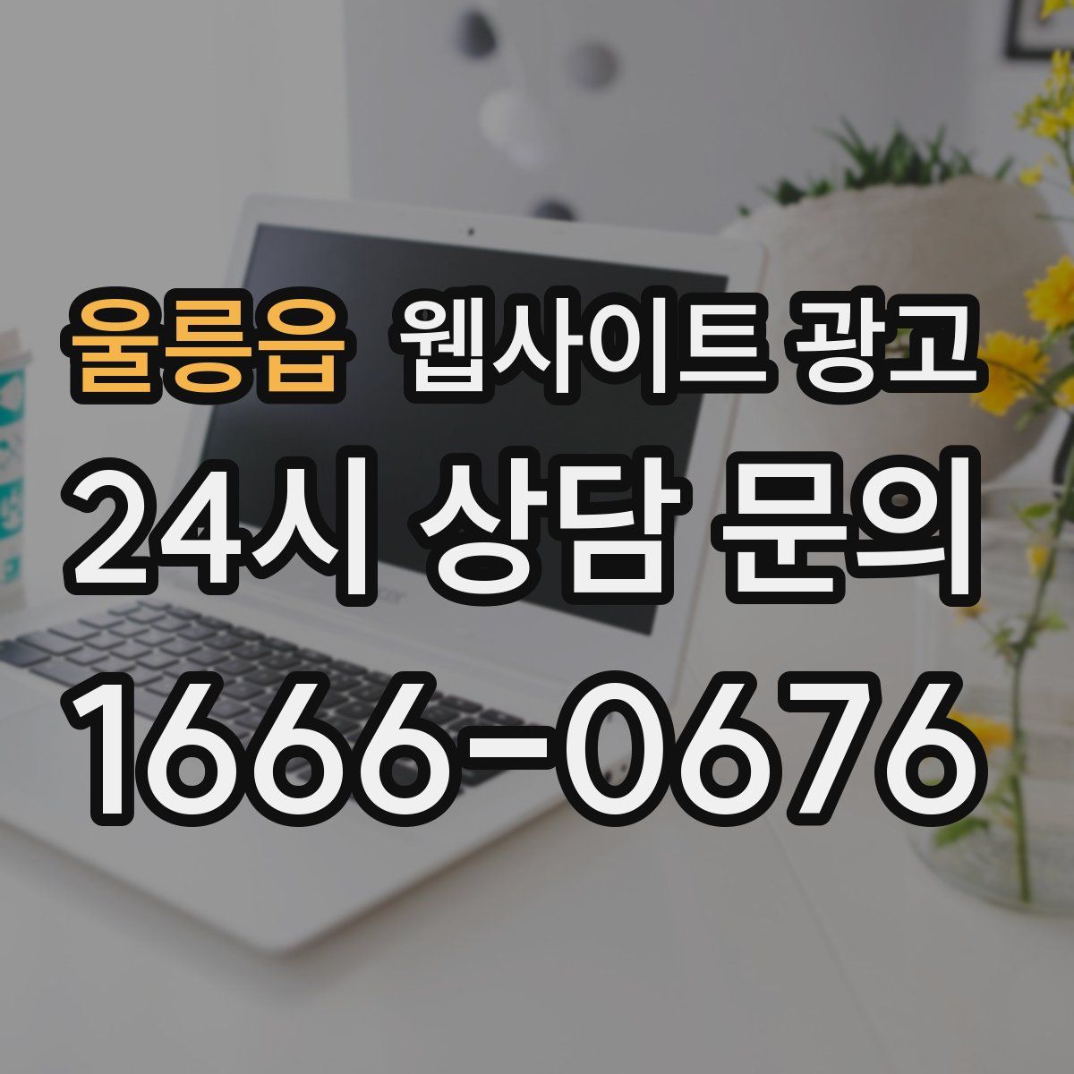 울릉읍 웹사이트 광고