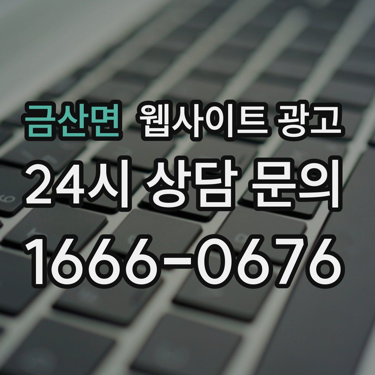 금산면 웹사이트 광고