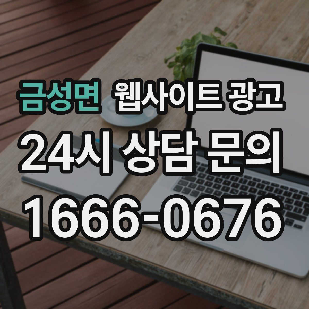 금성면 웹사이트 광고