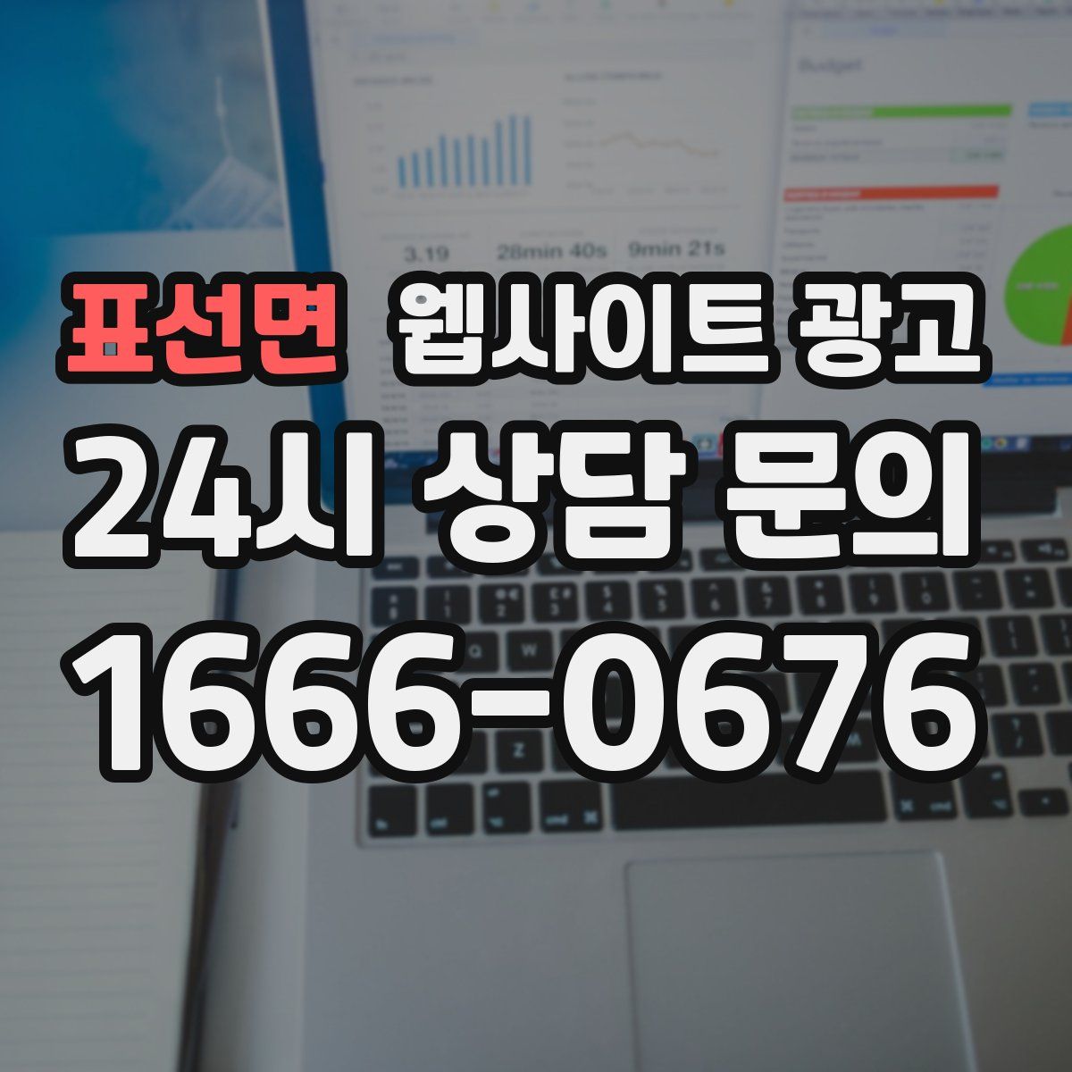 표선면 웹사이트 광고
