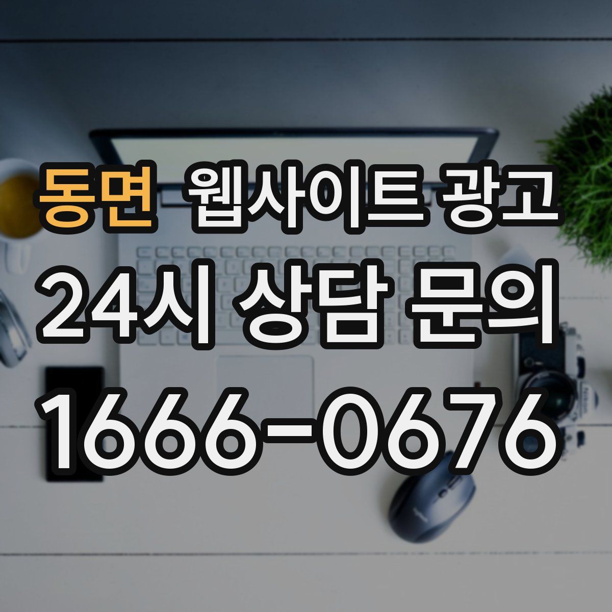 동면 웹사이트 광고