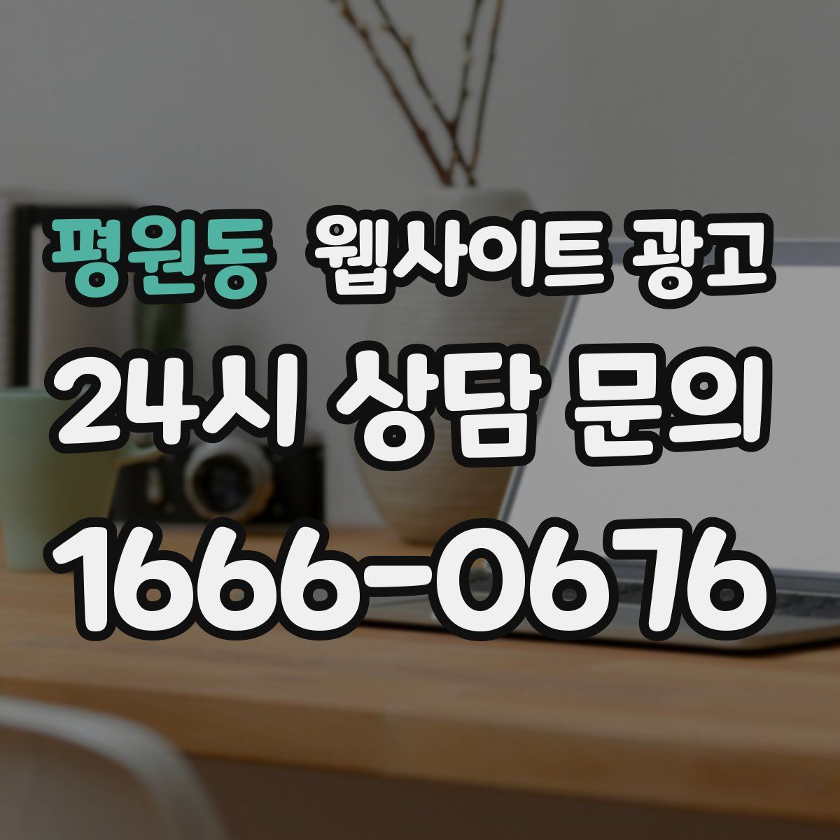 평원동 웹사이트 광고