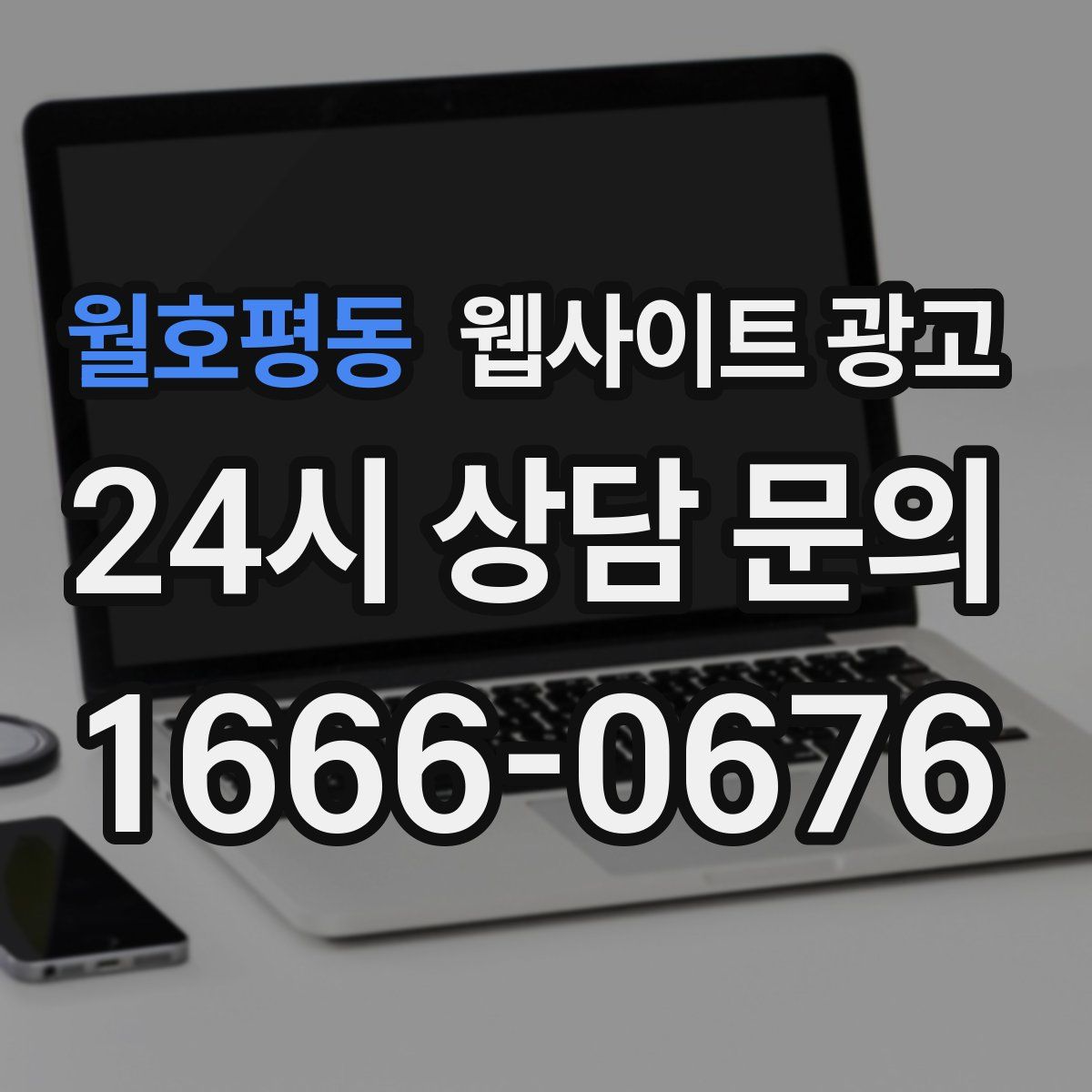 월호평동 웹사이트 광고