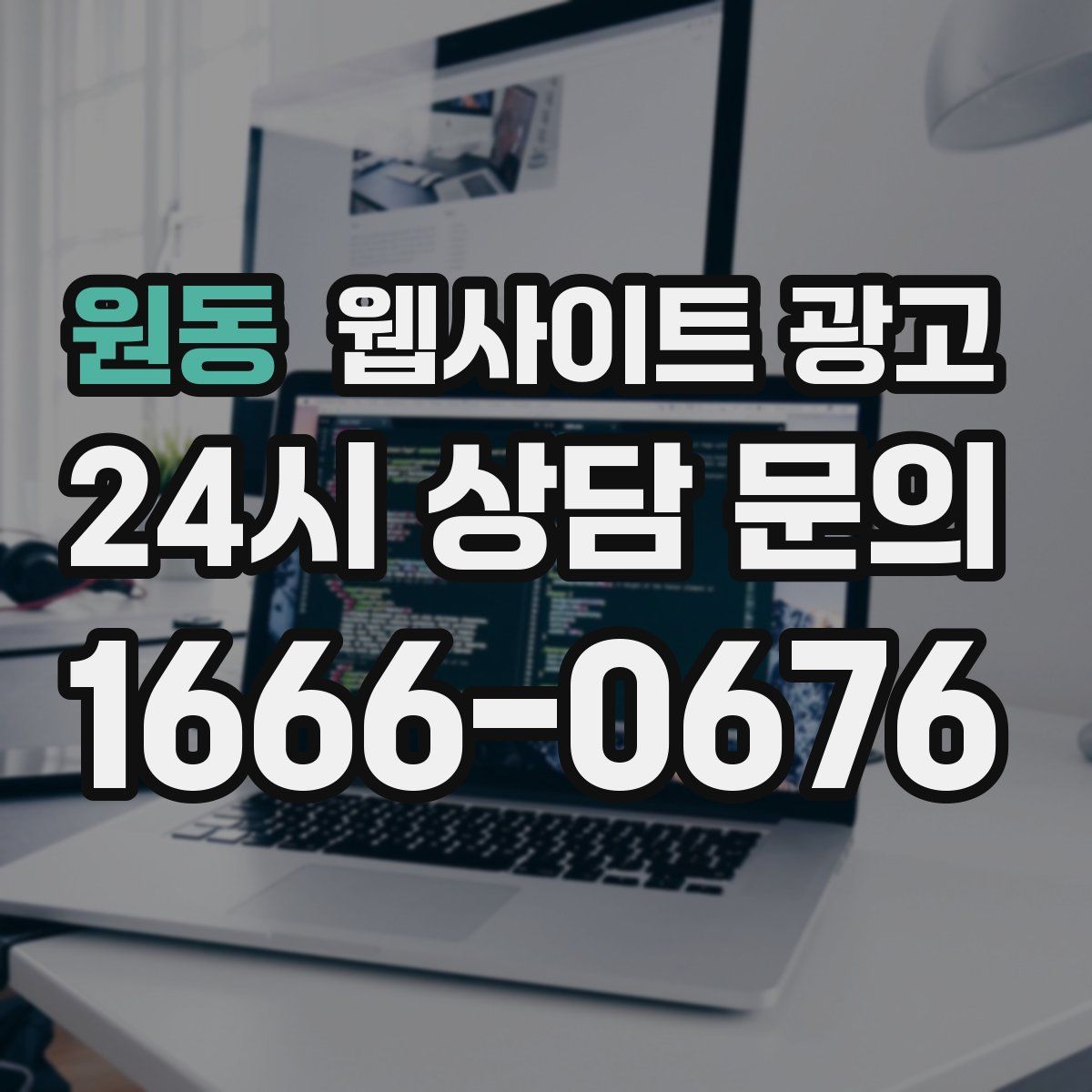 원동 웹사이트 광고