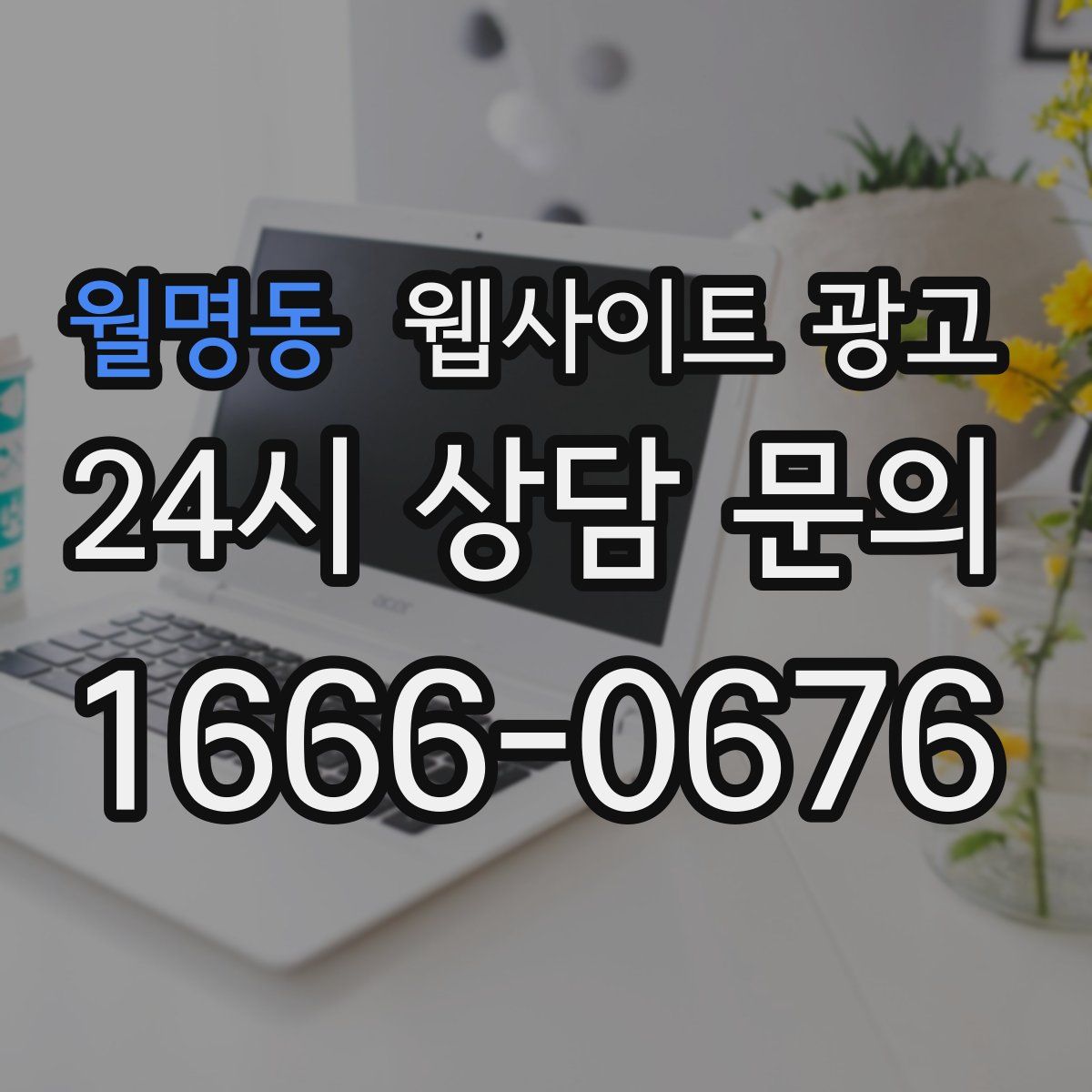 월명동 웹사이트 광고