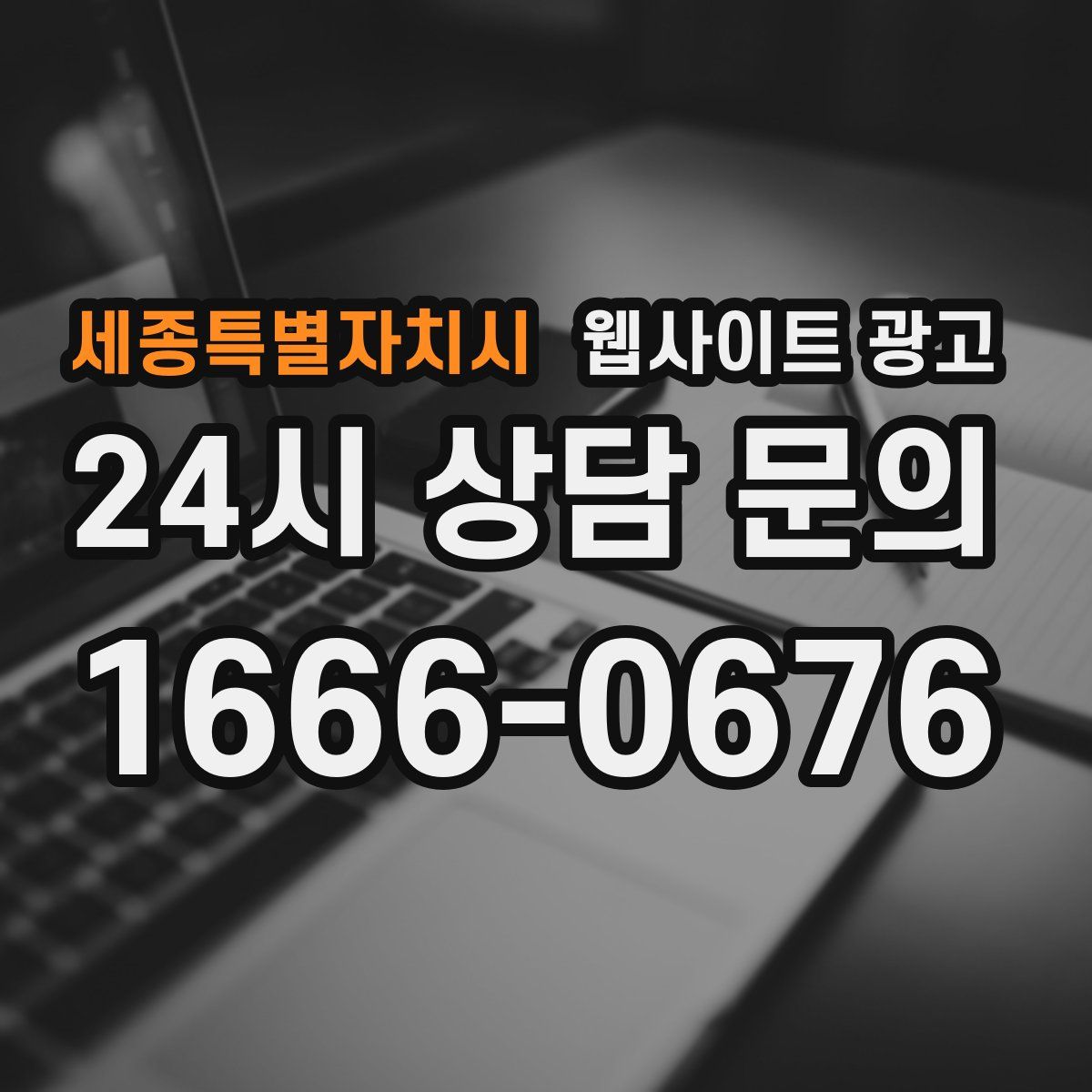 세종특별자치시 웹사이트 광고