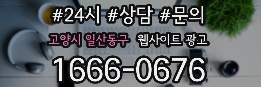 고양시 일산동구 웹사이트 광고