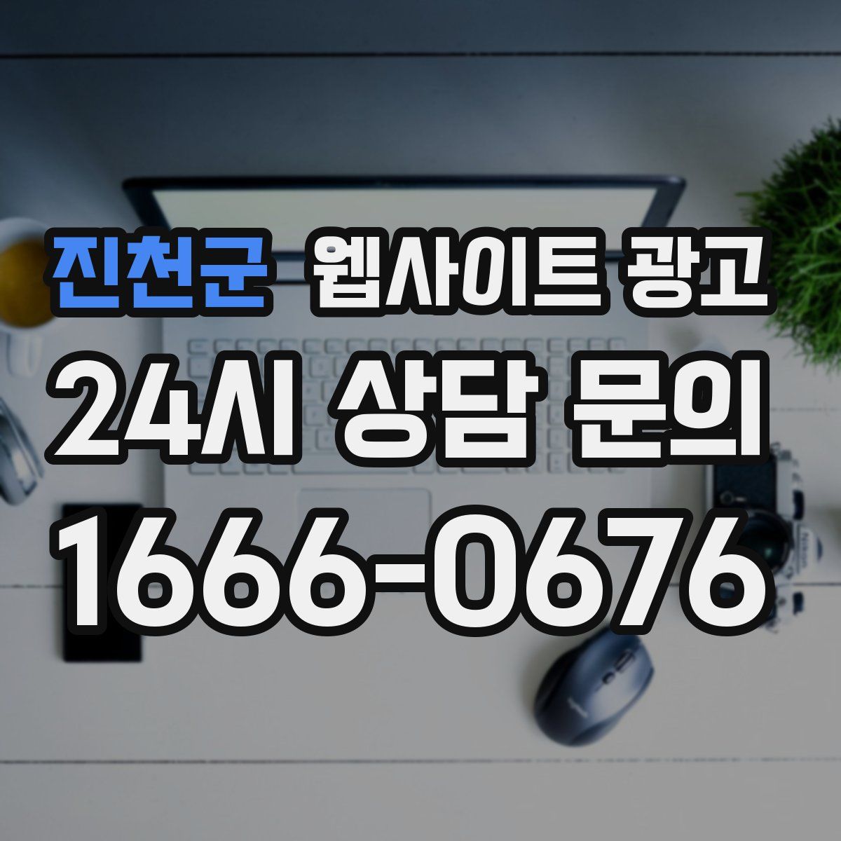 진천군 웹사이트 광고