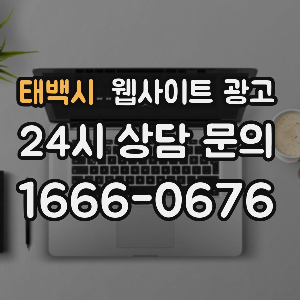 태백시 웹사이트 광고