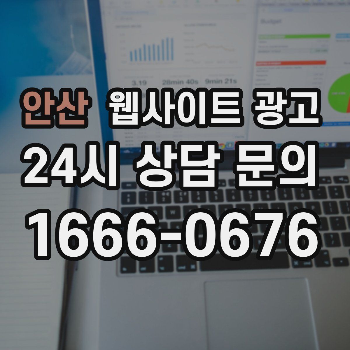 안산 웹사이트 광고