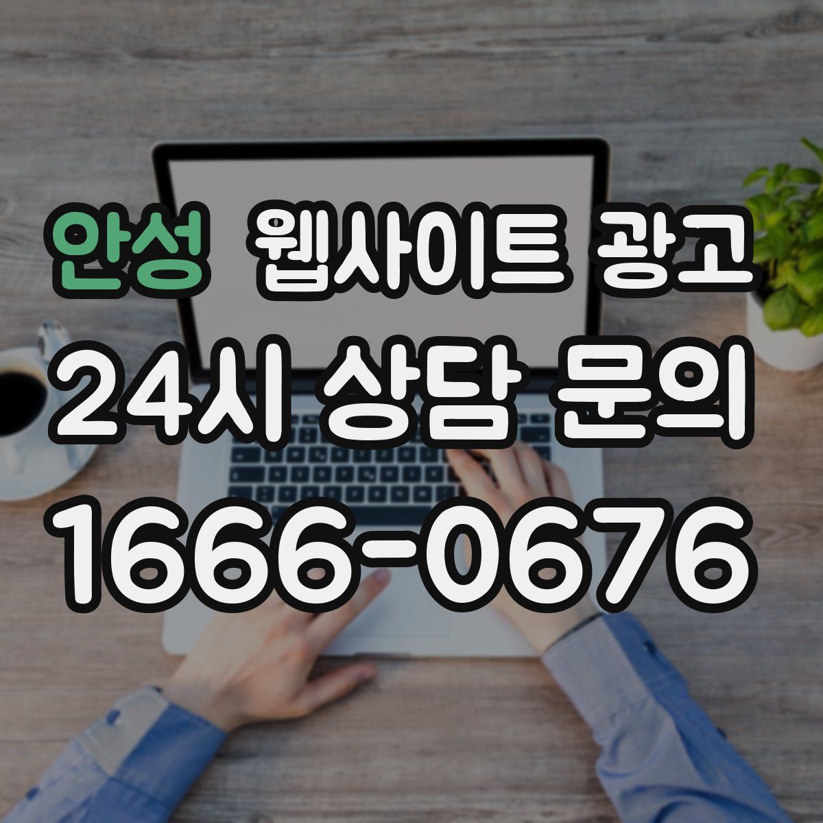 안성 웹사이트 광고