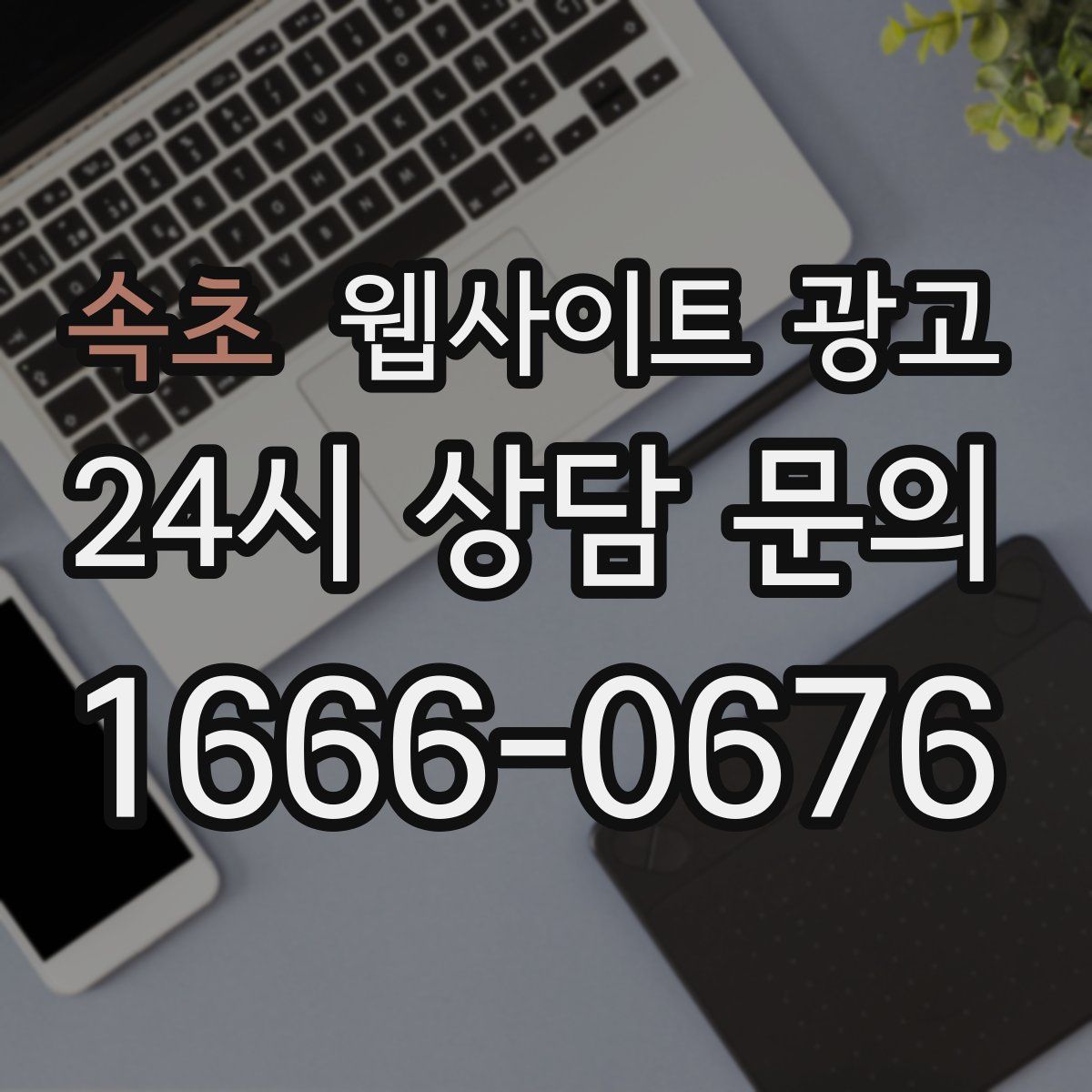 속초 웹사이트 광고