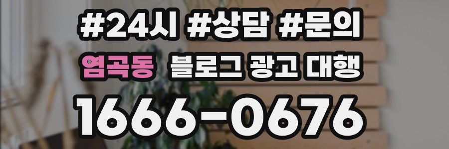 염곡동 블로그 광고 대행