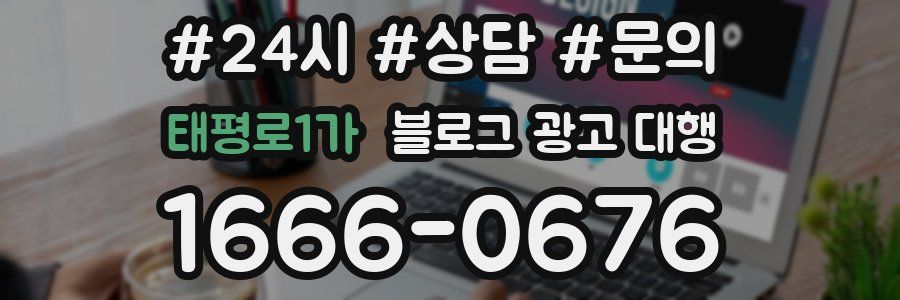 태평로1가 블로그 광고 대행