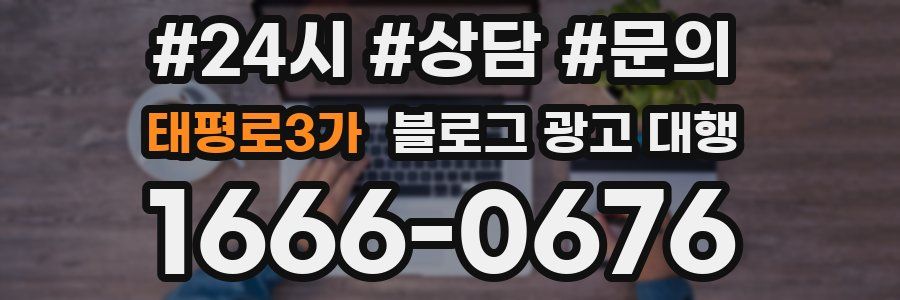 태평로3가 블로그 광고 대행