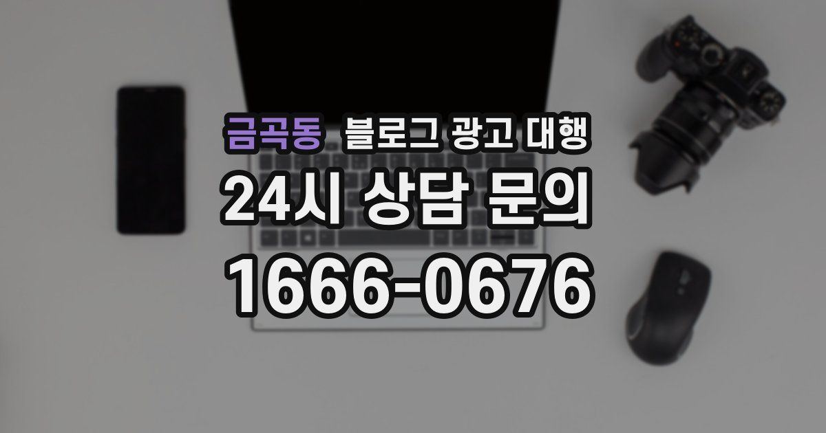 금곡동 블로그 광고 대행