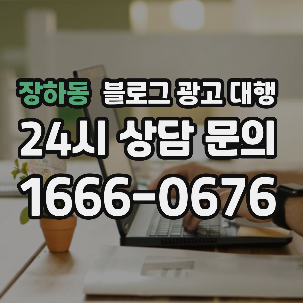 장하동 블로그 광고 대행