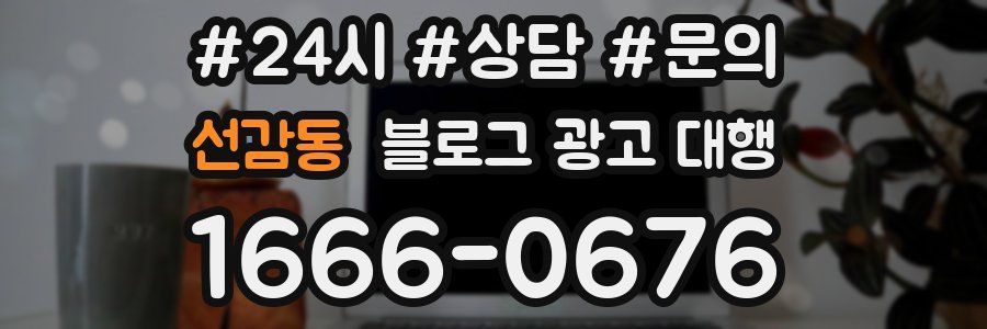 선감동 블로그 광고 대행
