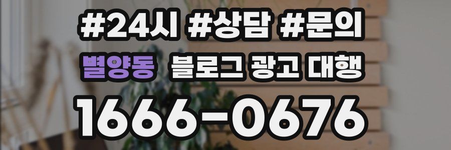 별양동 블로그 광고 대행