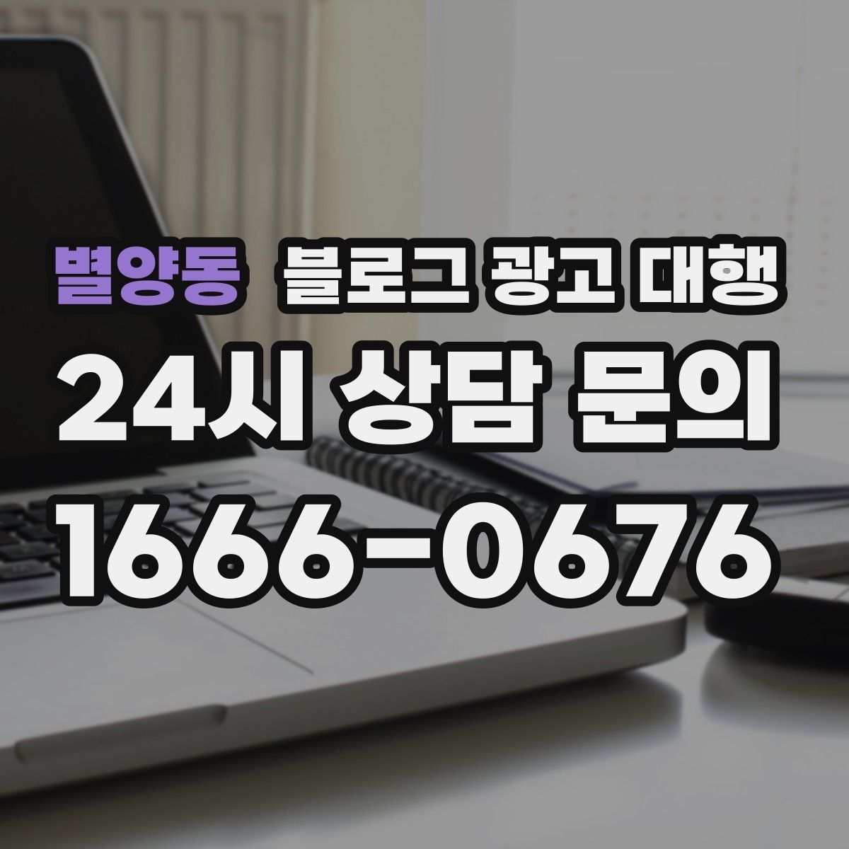 별양동 블로그 광고 대행