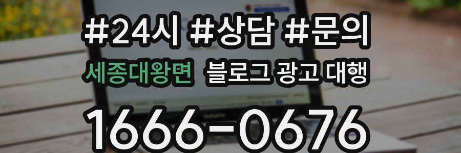 세종대왕면 블로그 광고 대행