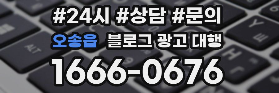 오송읍 블로그 광고 대행