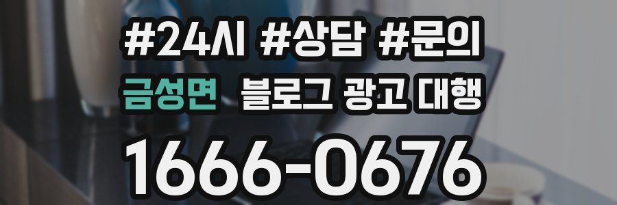 금성면 블로그 광고 대행