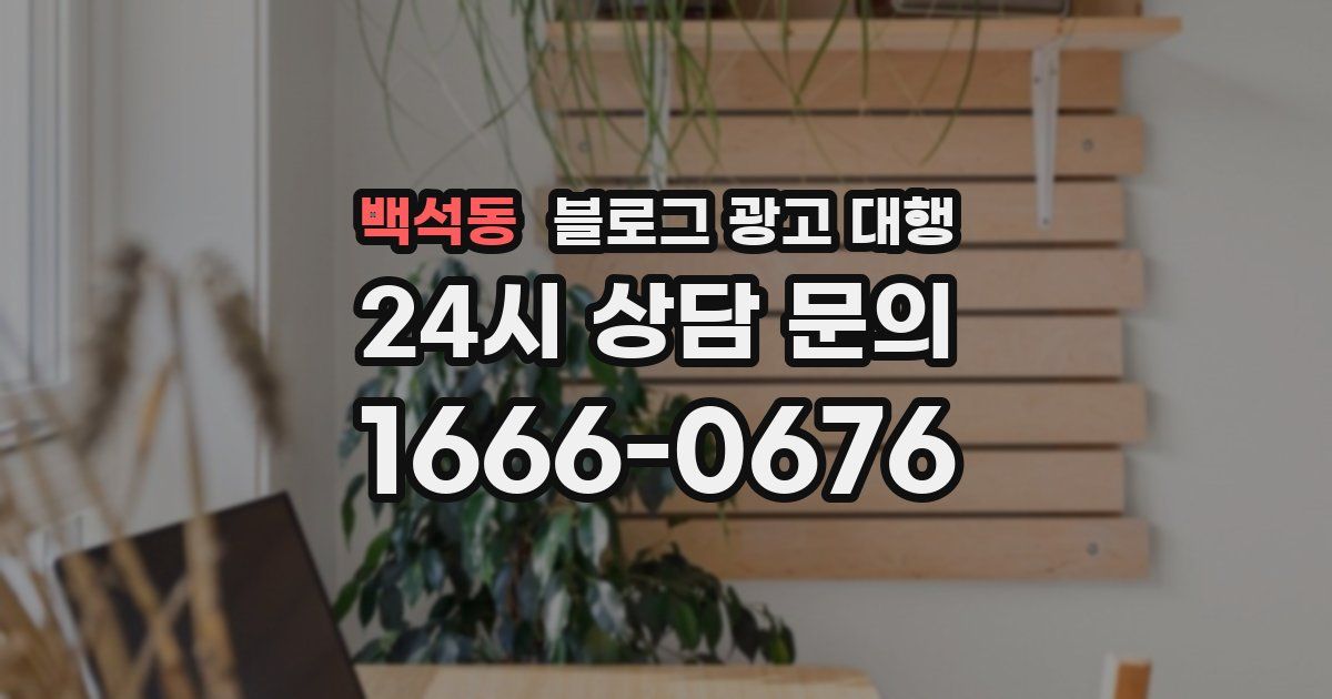 백석동 블로그 광고 대행