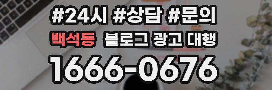 백석동 블로그 광고 대행