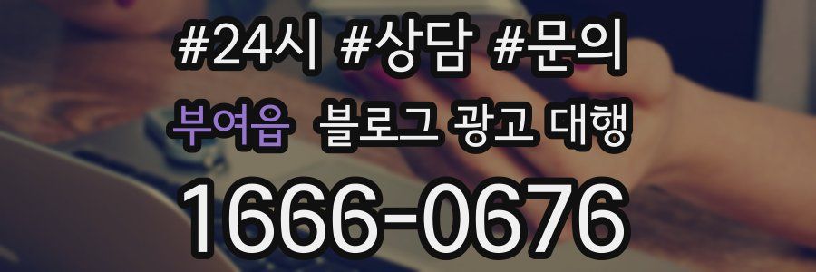 부여읍 블로그 광고 대행