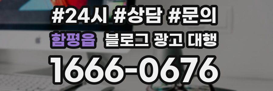 함평읍 블로그 광고 대행