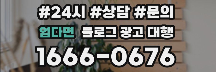 엄다면 블로그 광고 대행