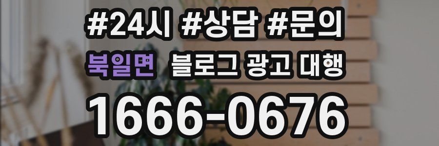 북일면 블로그 광고 대행