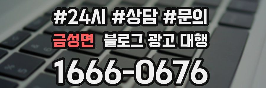 금성면 블로그 광고 대행