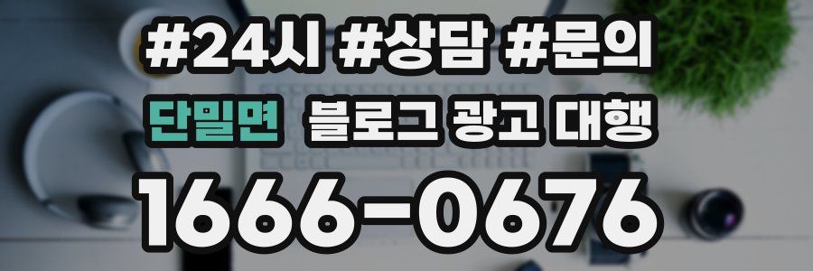 단밀면 블로그 광고 대행