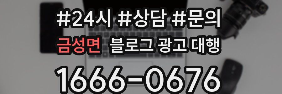 금성면 블로그 광고 대행