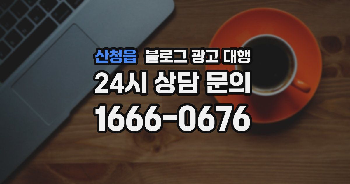 산청읍 블로그 광고 대행