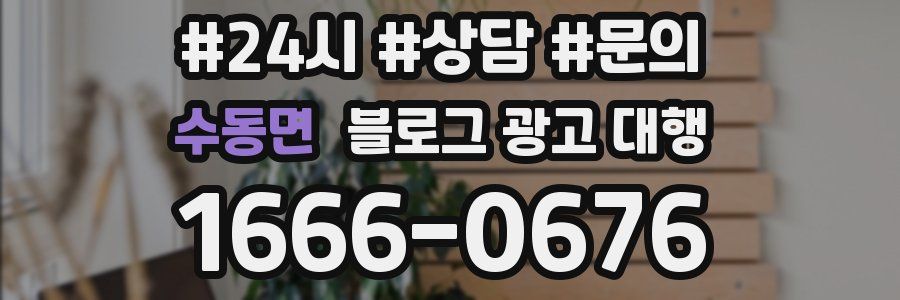 수동면 블로그 광고 대행