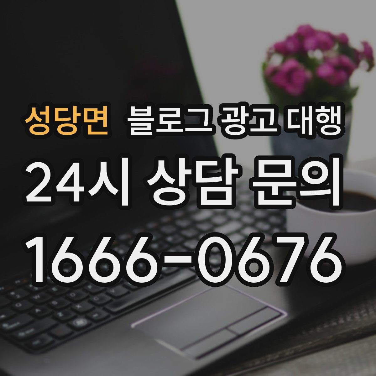성당면 블로그 광고 대행 결과를 높이는 사진과 문구 구성