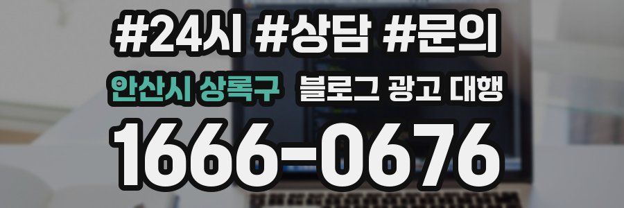 안산시 상록구 블로그 광고 대행