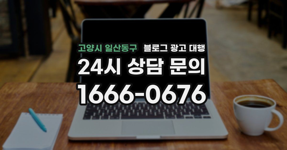 고양시 일산동구 블로그 광고 대행